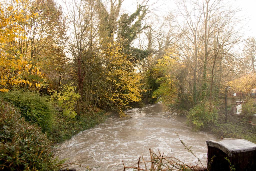 Little Hallingbury Mill Bagian luar foto